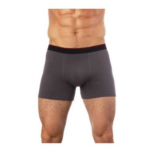 Трусы мужские UOMO FIERO 029FH серые XXL в Модис