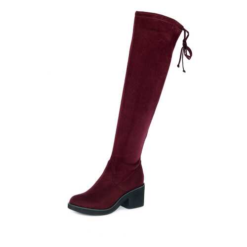 Ботфорты женские T.Taccardi K0589MH-1A бордовые 36 RU в Модис